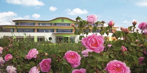 PRIMAVERA